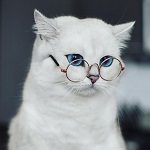 Аватара пользователя