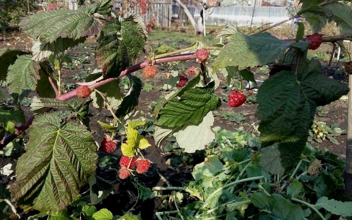sized_20191018_122749.JPG
