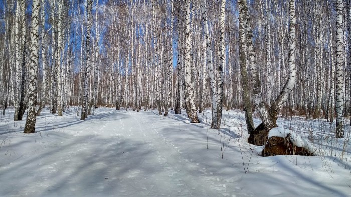 IMG_20180406_142112_HDR.jpg