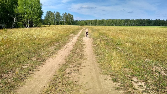 IMG_20180806_114645_HDR.jpg