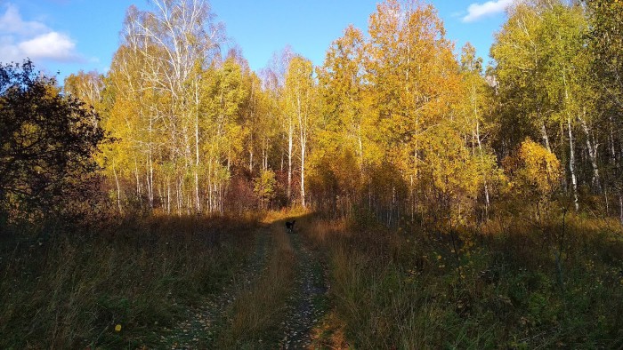 IMG_20190920_170953.jpg