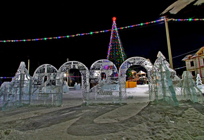 IMG_7483.jpg