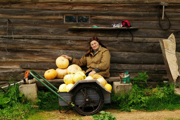 тыквы.jpg