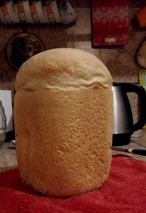 sized_20191227_170807.JPG