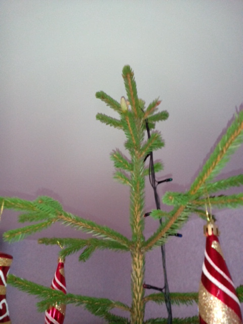 IMG_20200120_124546.jpg