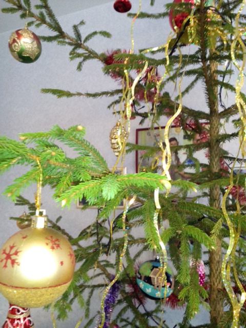 IMG_20200120_124559.jpg
