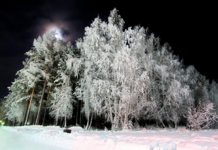 IMG_7823.jpg