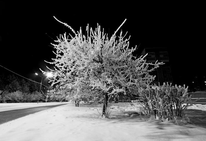 IMG_7818.jpg