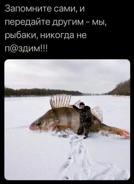 I6MzNpunOrA.jpg