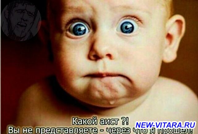 аист.jpg