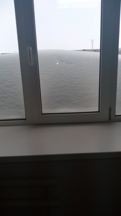 март 23 1.jpg