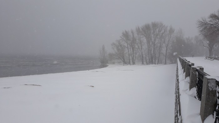 20200323_124851.1.jpg
