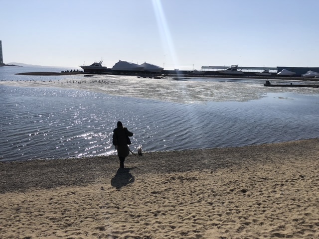 008D5C2D-B56F-4C9C-9AC5-FA9985362D46.jpeg
