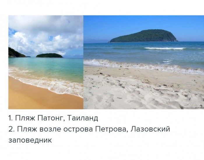 26E5B556-665E-4842-B2D7-2BDA6D4E3FE6.jpeg