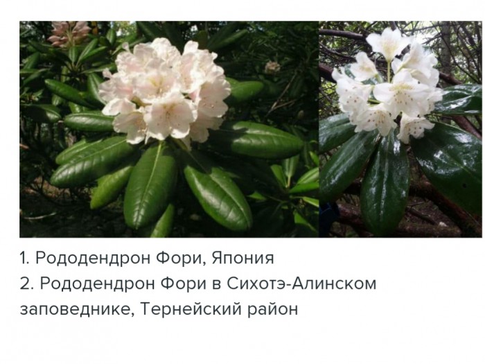 49715885-1048-4C08-9D43-A9E6ECFAE0D2.jpeg
