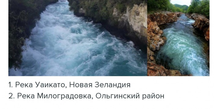 2F3B21A4-1F2A-45F0-958A-5DAC9CAE9CCD.jpeg