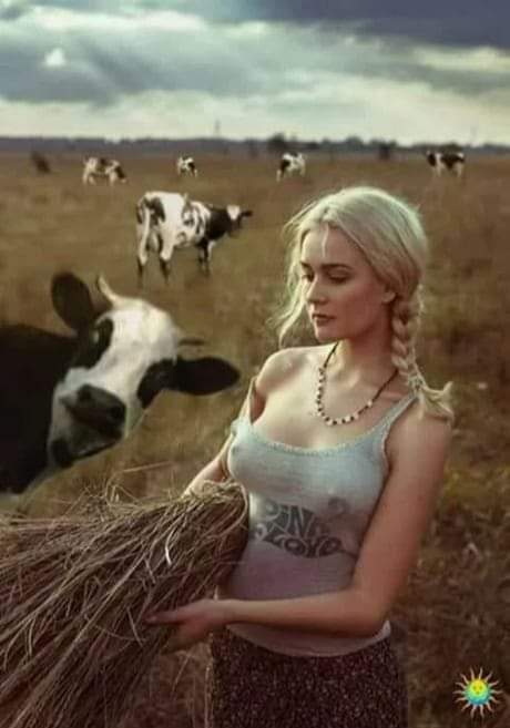 2a5e82586331268565e425d5b18ddb606b29888e.jpeg