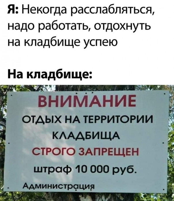 IMG-52a416a09b15cc267992b86964b2234a-V.jpg