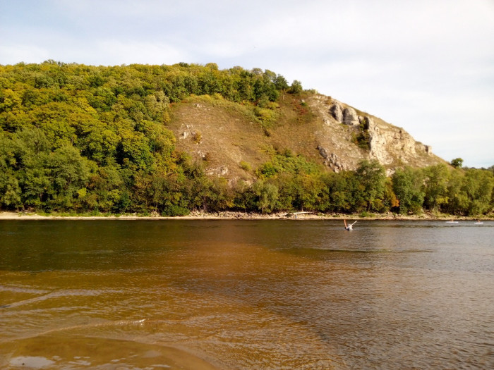 IMG_20200827_162224.jpg