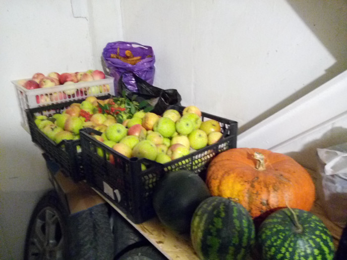 IMG_20200916_212236.jpg