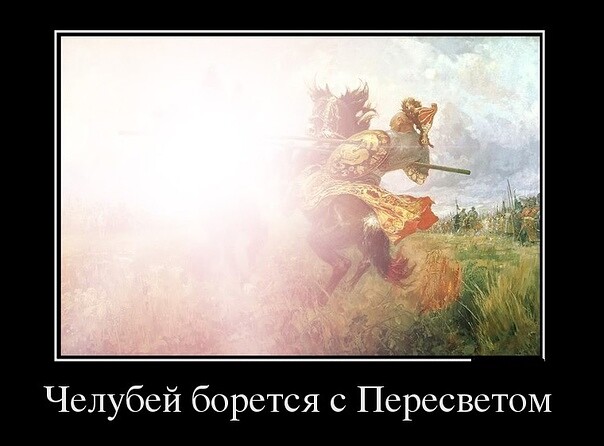 06.jpg
