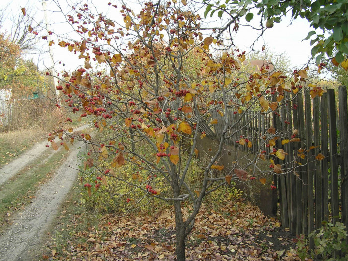 P1010260-min.JPG