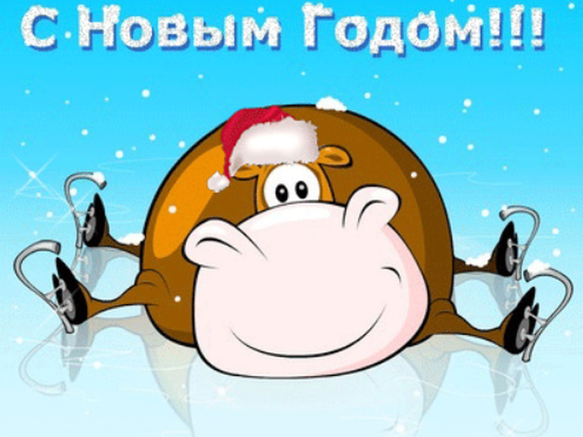 9d594c53f242ee279531-2.jpg