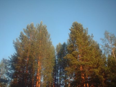 DSCF0053.JPG