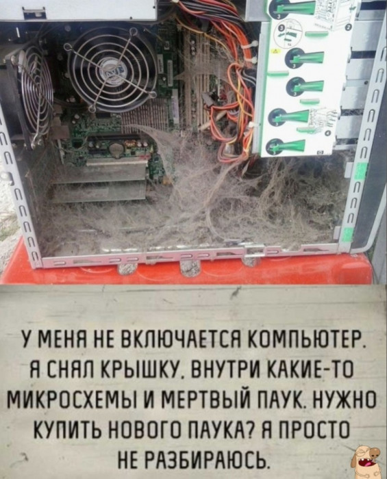 68e443023ad4.jpg
