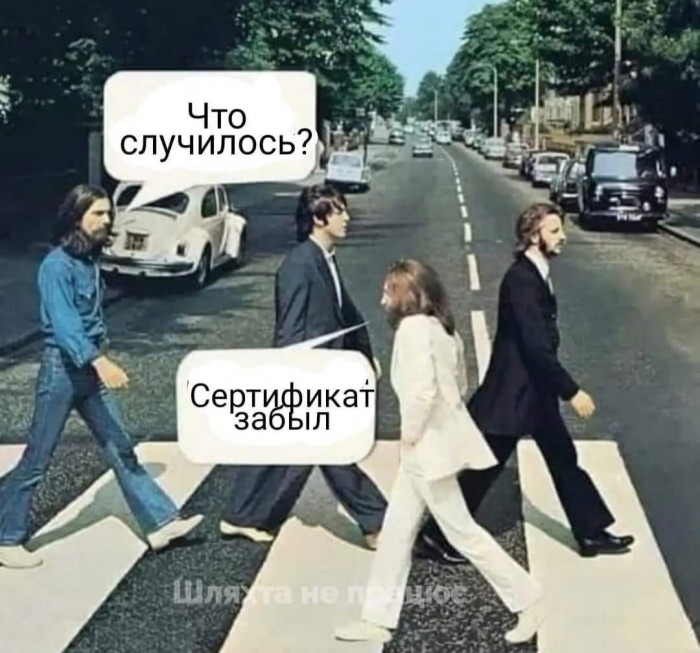 896800.jpg