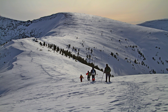 IMG_3735.jpg