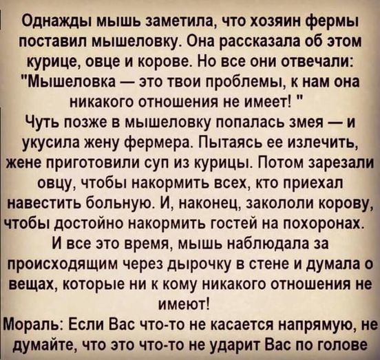 мышь.jpg