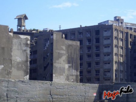 1251720637_14.jpg