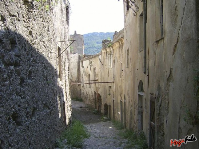 1251720601_12.jpg