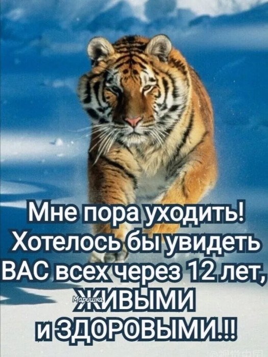 IMG-20221231-WA0031.jpg