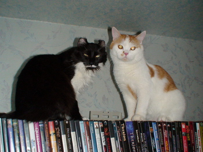 DSC00964.jpg
