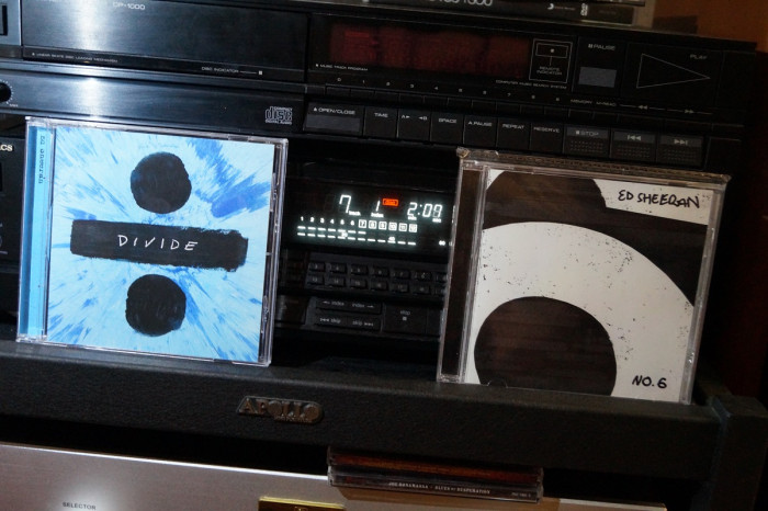 DSC08290.JPG