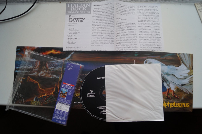 DSC08617.JPG