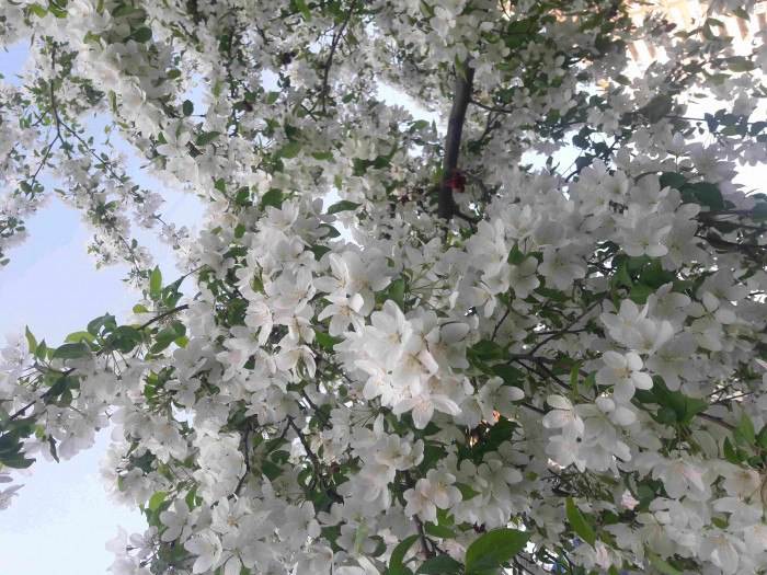 20230519_074447.jpg
