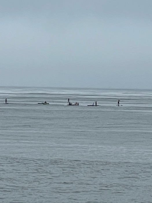 E2765374-1727-4D25-A61A-04D53D822A8D.jpeg