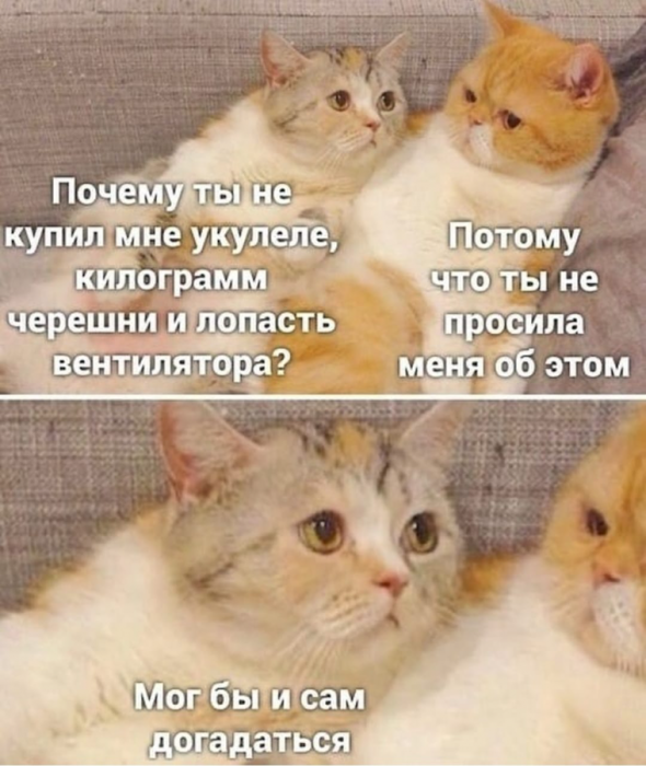 cjjjl0cigdgnmg3n32b0.png