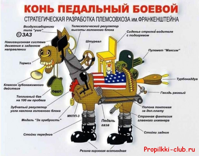 07.jpg