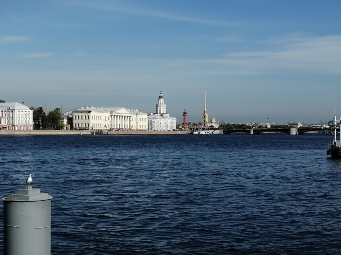 IMG_20230927_120527.jpeg