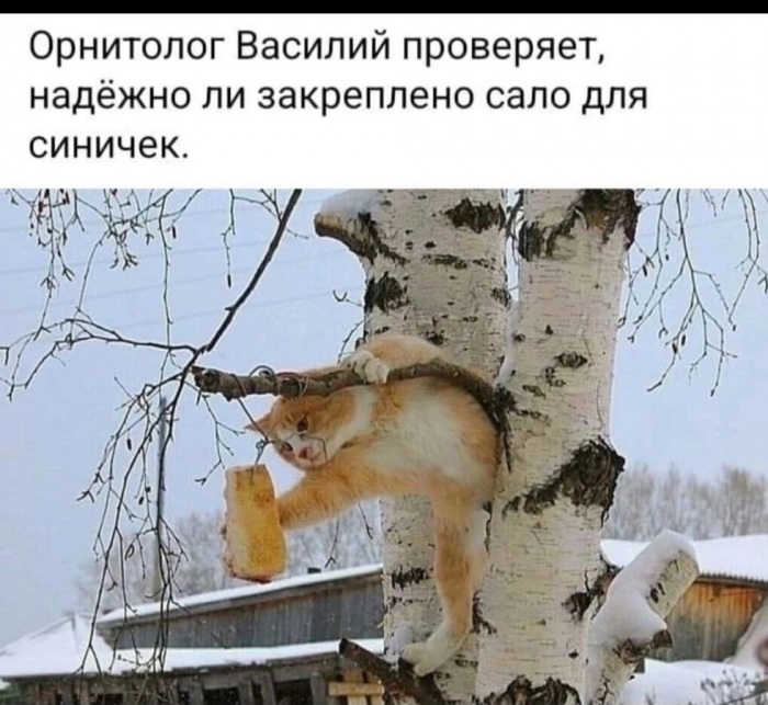 ckh6ls4igdgivd35i7f0.png