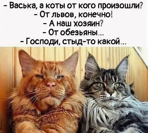 by9k-uhxdPU.jpg