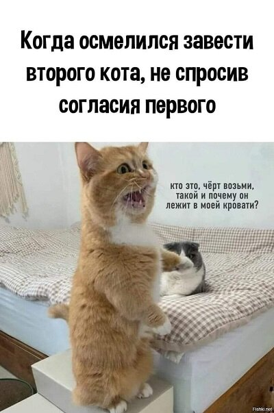 ckvatqcigdglq8pq06mg.png