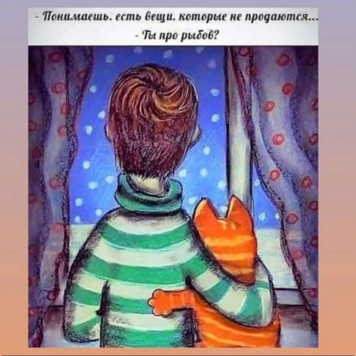 ckvaue4igdglq8pq06n0.png