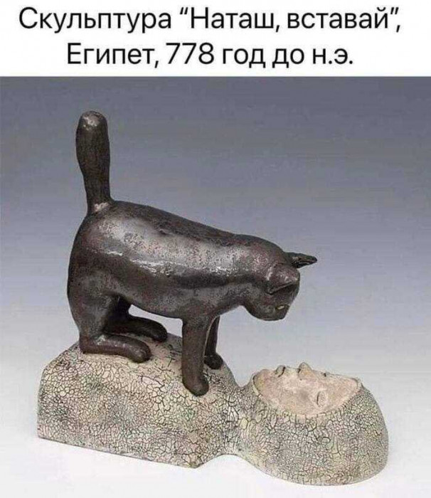 1698495487101.jpg