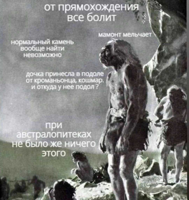 1699179054048.jpg