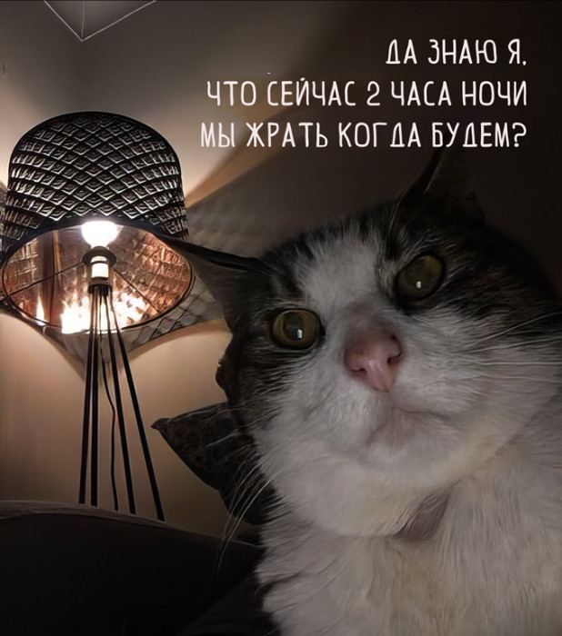 cl8e3vcigdgkqlkpn7fg.jpeg
